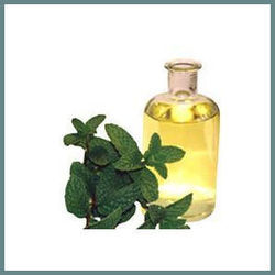 Mint Oils