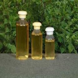 Mint Oils