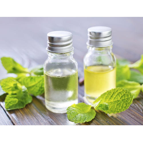 Natural Mentha Oil & Its Derivatives